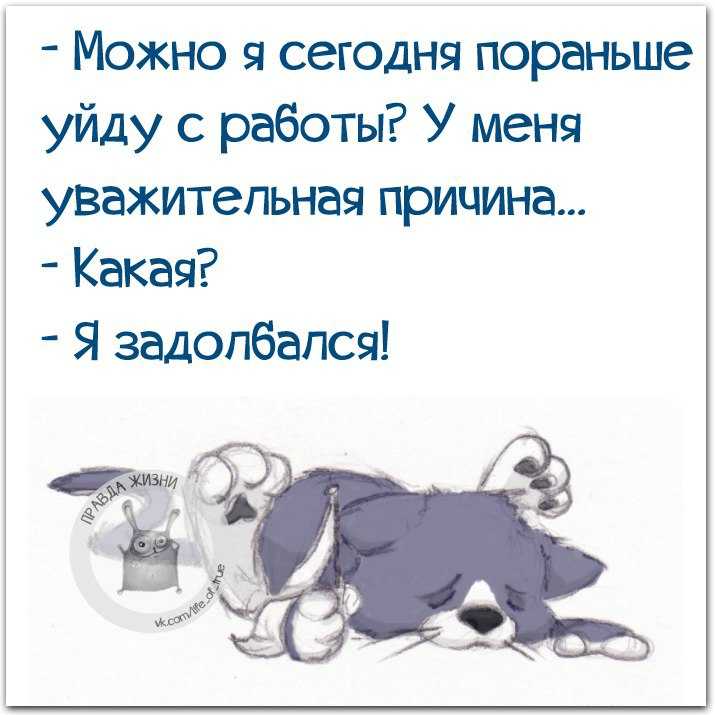 Обед по расписанию поговорка