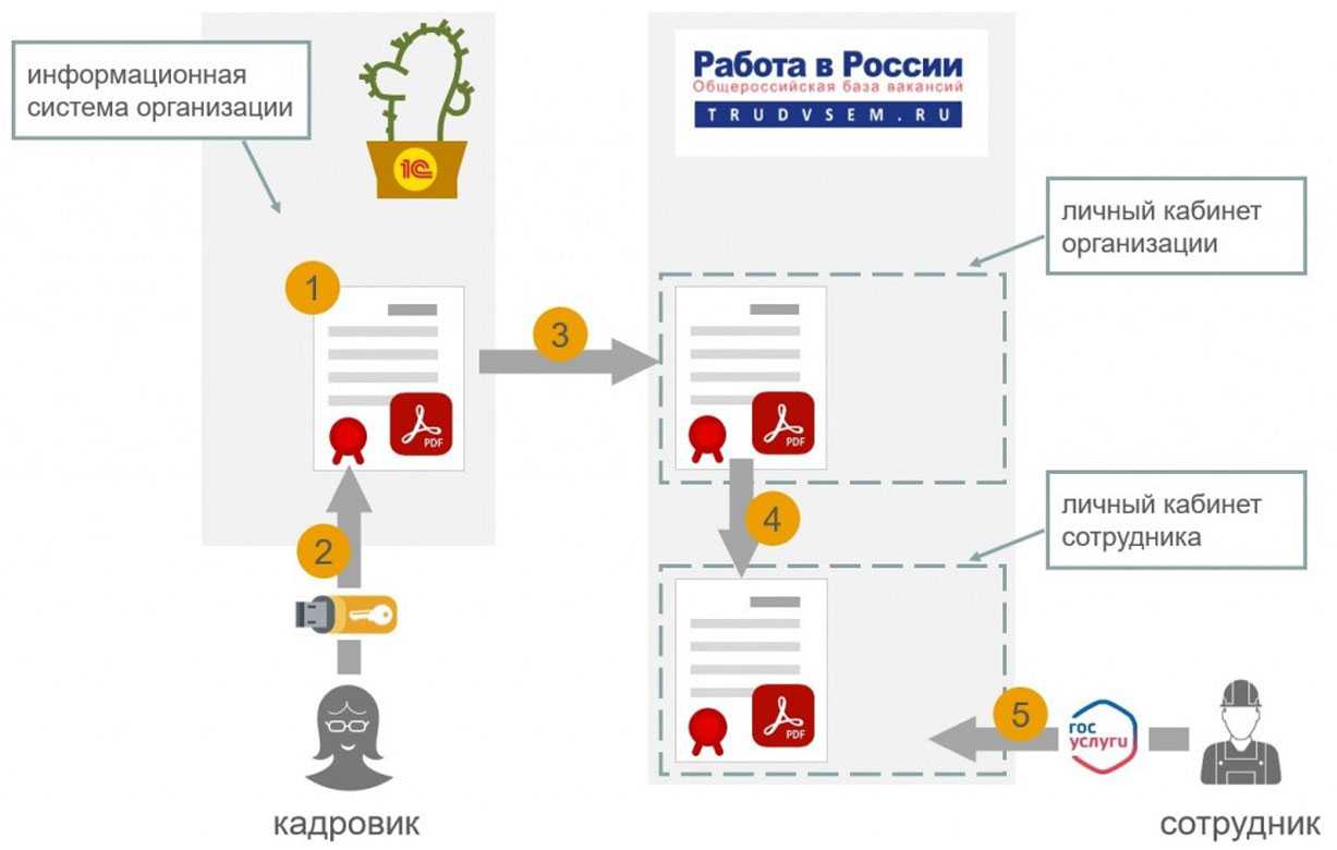 Новые правила эдо с 1 января 2024 года