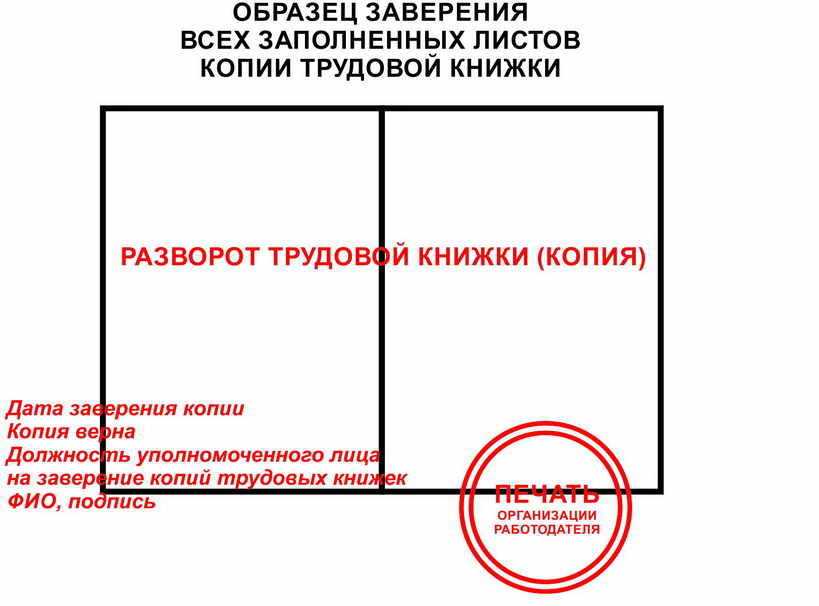 Сроки действия копии трудовой книжки в россии в 2020 году