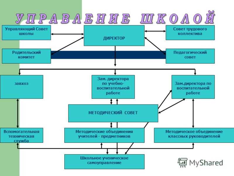 Совет трудового коллектива и профсоюз разница