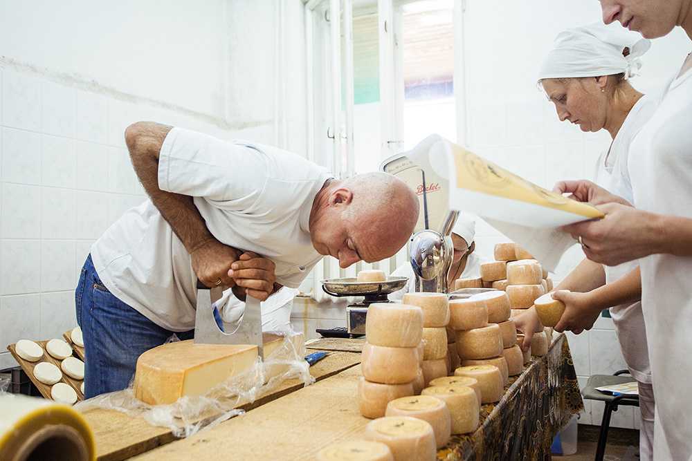 Начать свое дело никогда не поздно Своим опытом перехода с престижной работы в предпринимательство делится одна из собственниц компании Сырник Ирина Катерушина