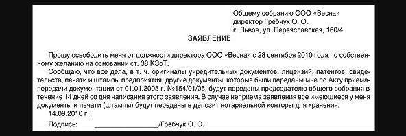 Какую ответственность несет номинальный директор