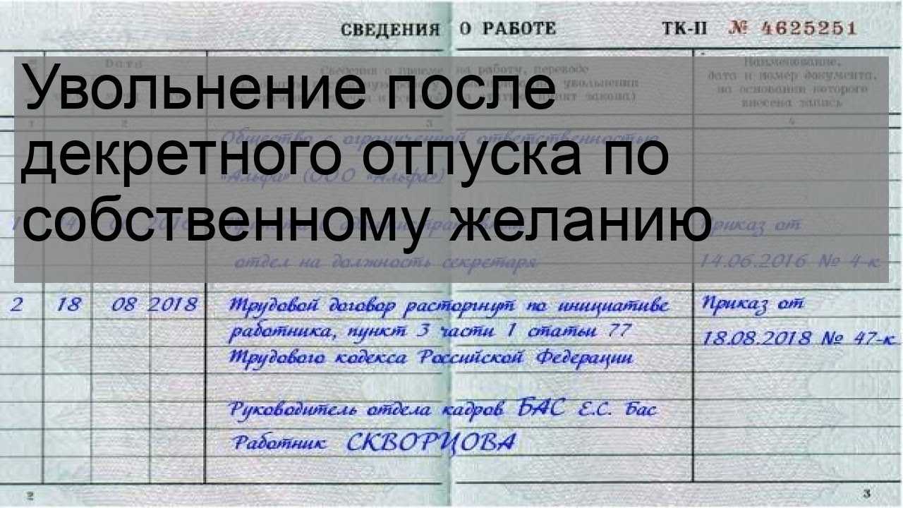 Работодатель не ждёт свою сотрудницу из декрета и предлагает уволиться по собственному желанию: что делать