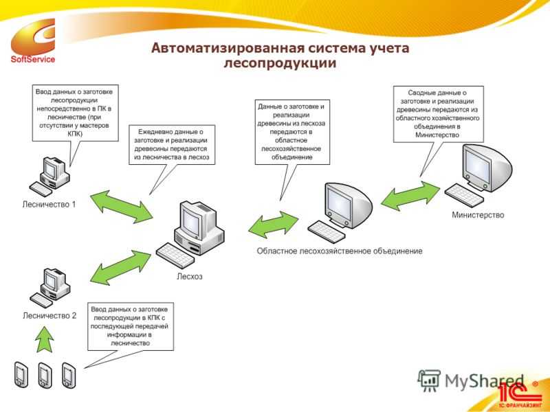 Охота и удача. или удача и охота