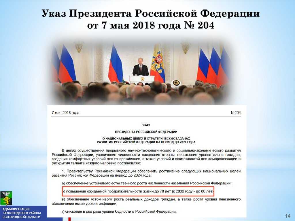 Национальные проекты россии: суть и основные направления
