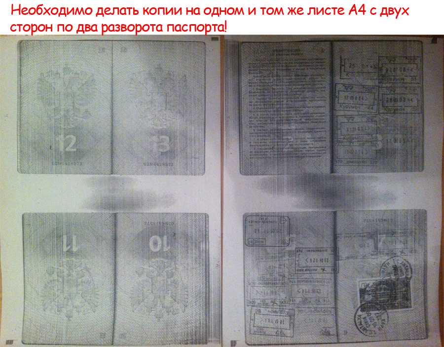 Сегодня люди нередко сталкиваются с ситуацией, когда от них требуют снять копию паспорта, например, при заключении гражданско правового договора