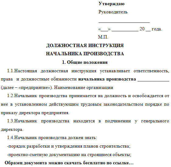 Должностная инструкция начальника ит отдела «  evilzipik.ru