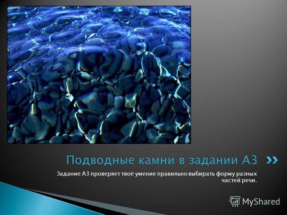 Антикризисные меры правительства рф в сфере закупок — как государство поддержит бизнес | rusbase
