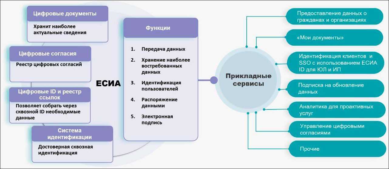 Вводим эдо в компании – теперь по новым правилам