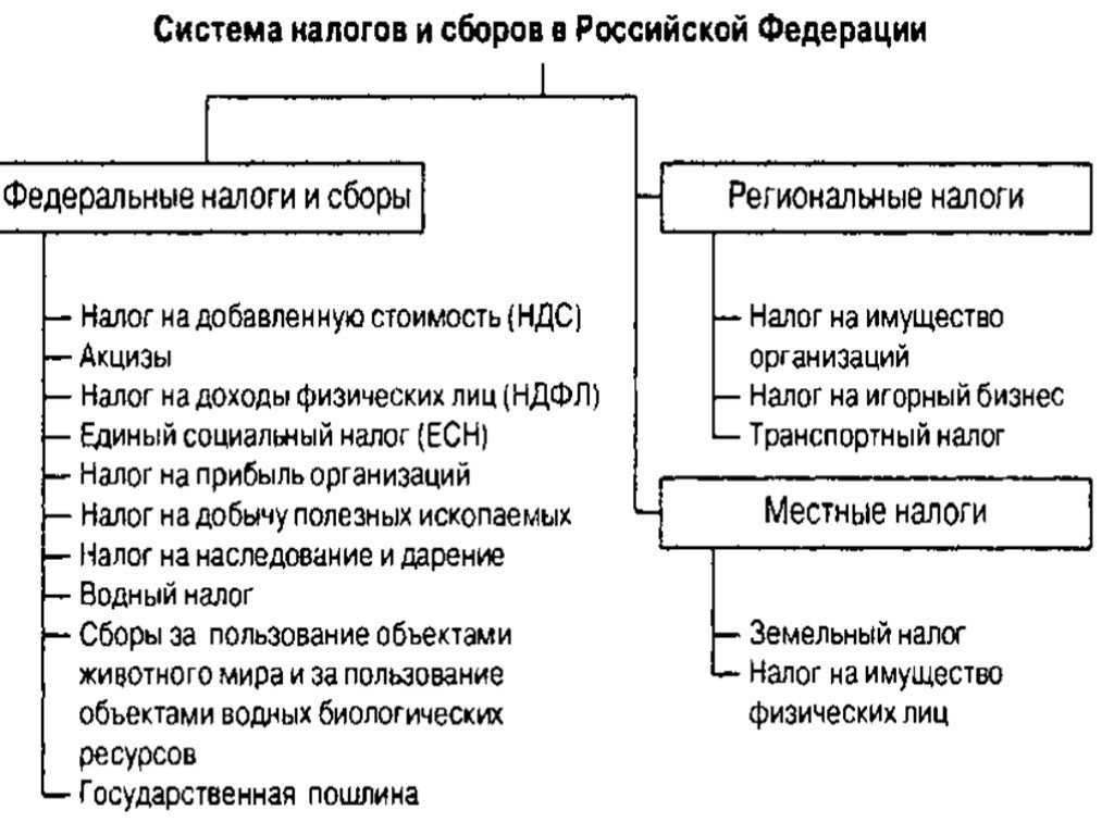 Егэ. экономика.  тема 22. налоги