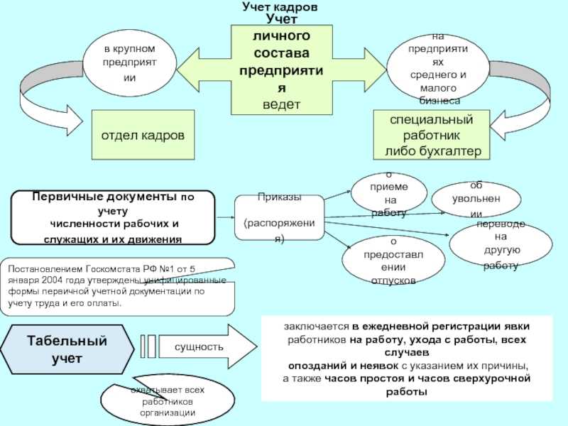 Упрощенный кадровый учет для микропредприятий: как принять и уволить сотрудника
