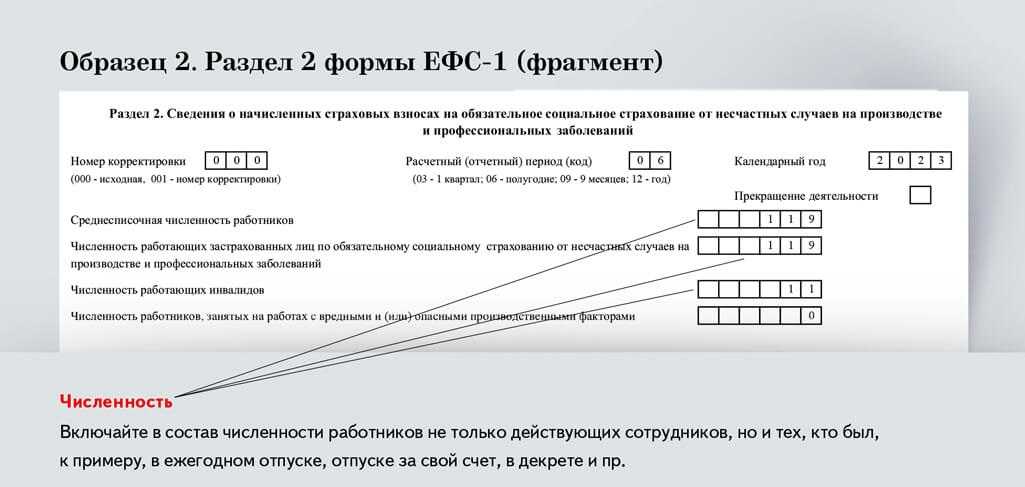Новый отчет ефс-1: подготовка и сдача в 2023 году
