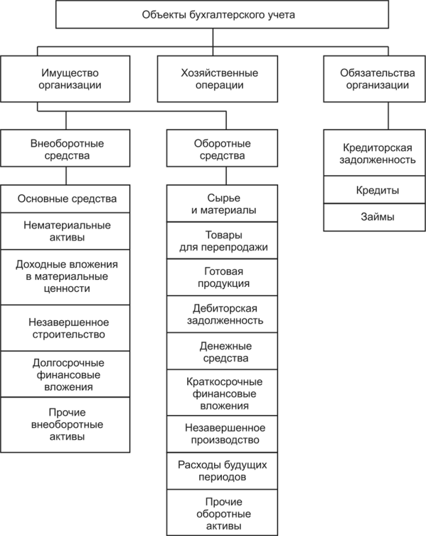 Бухгалтерский учёт: что это, задачи, принципы и порядок организации бухучёта
 / skillbox media