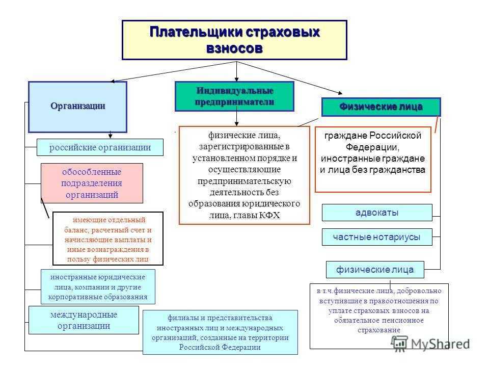 Страховые взносы в пфр в 2023 году - за работников и за себя (для ип, нотариусов, самозанятых)