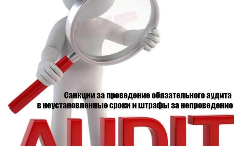 Обязательный аудит за 2023: кому проводить, какие особенности и штрафы | awara