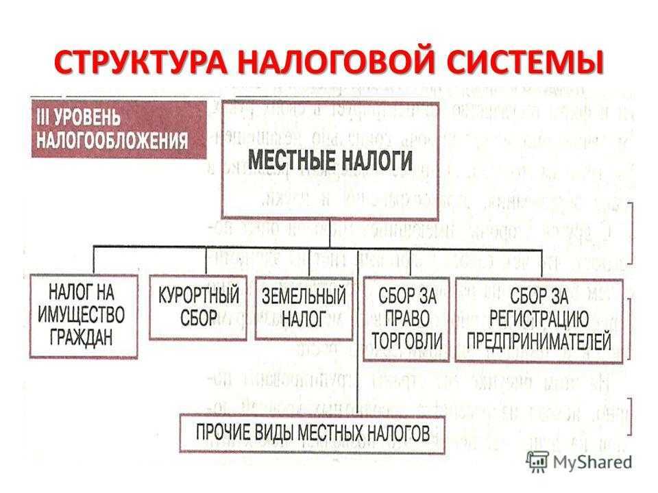 Какие федеральные, региональные и местные налоги действуют в россии