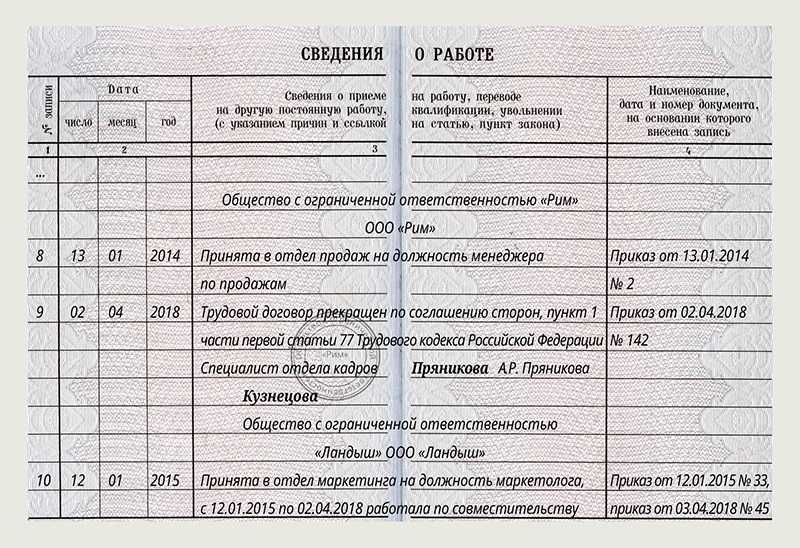Особенности оформления трудовых договоров с бухгалтерами в 2023 году