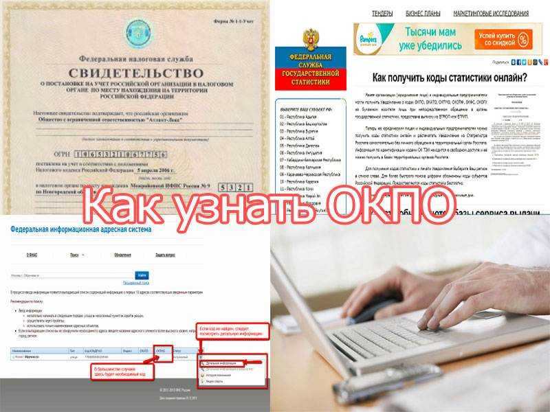 Код окпо что это такое и как его узнать?