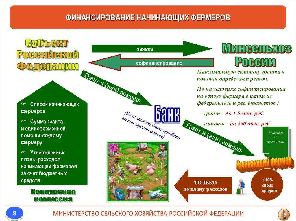 Как получить грант на развитие творческого проекта?