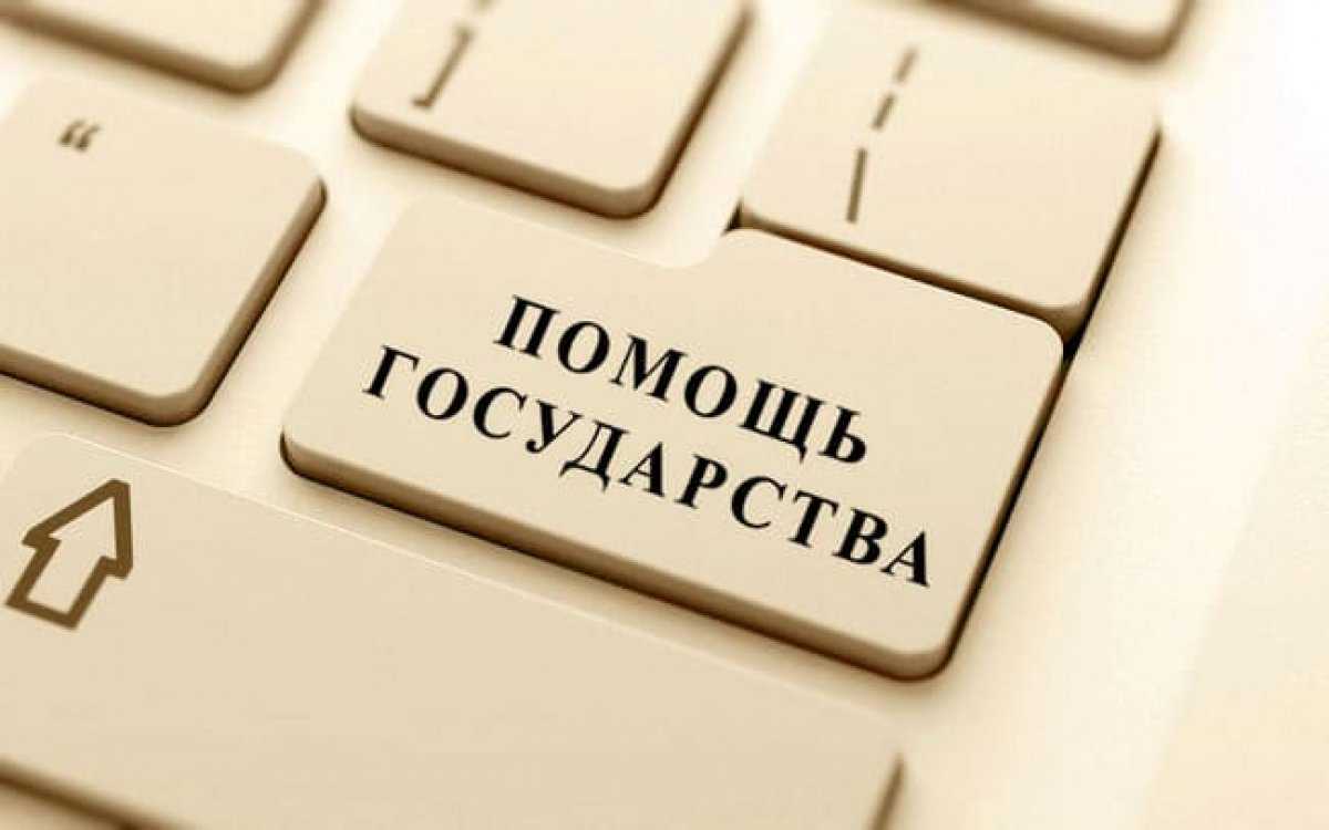 Как получить поддержку на развитие бизнеса: советы предпринимателям от мсп.рф