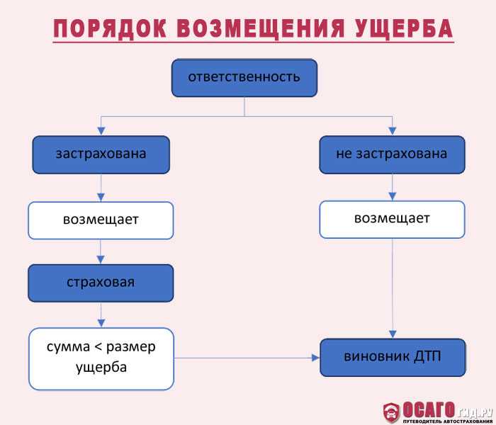 Материальная ответственность сторон трудового договора - трудовое право (филющенко л.и., 2019)