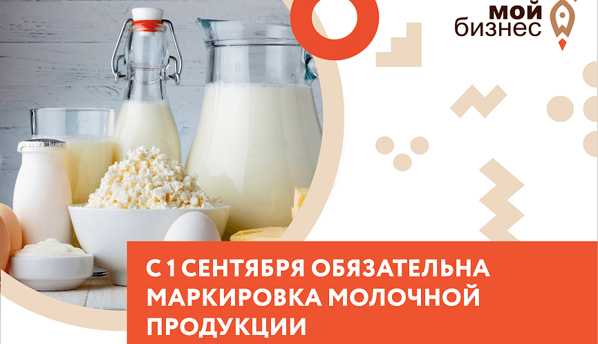 Маркировка молочной продукции для розничной торговли с 2024  - как работать?