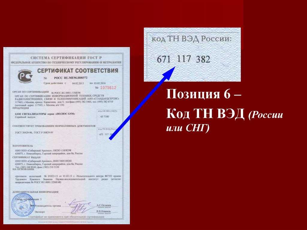 1010 в гтд: что это значит, объяснение и особенности