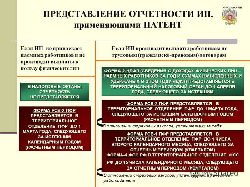 Календарь сдачи отчетности и налоговых платежей в 2024 году для компании на усн - особое мнение