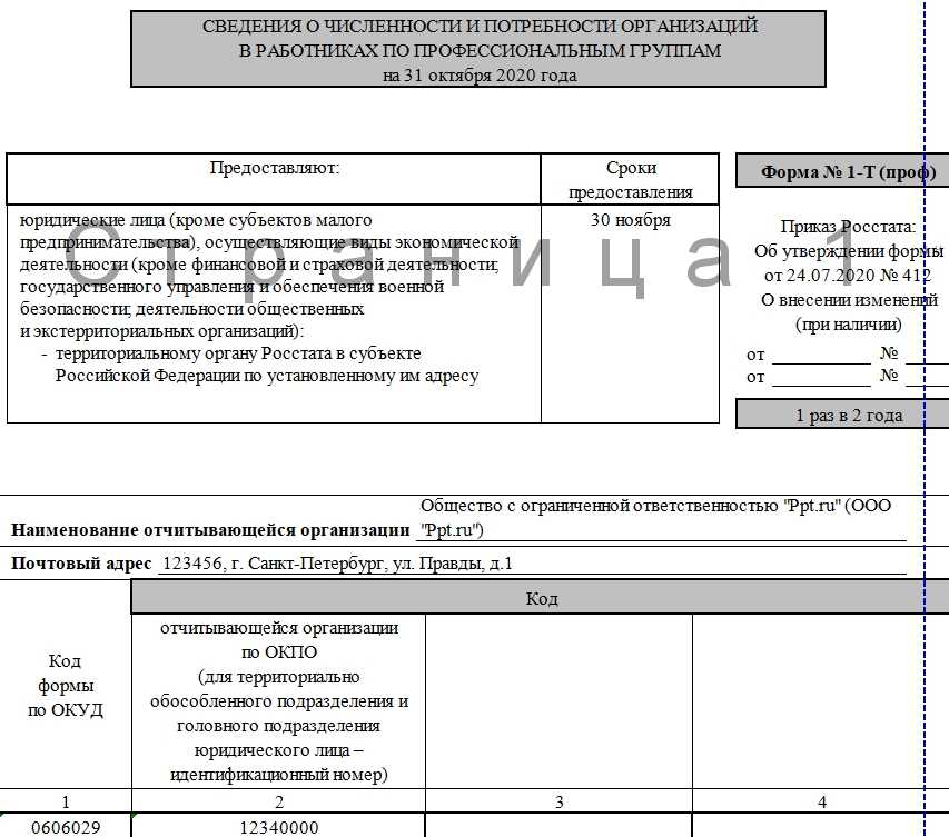 Статистическая отчетность о зарплатах работников: новая форма, порядок и сроки сдачи
