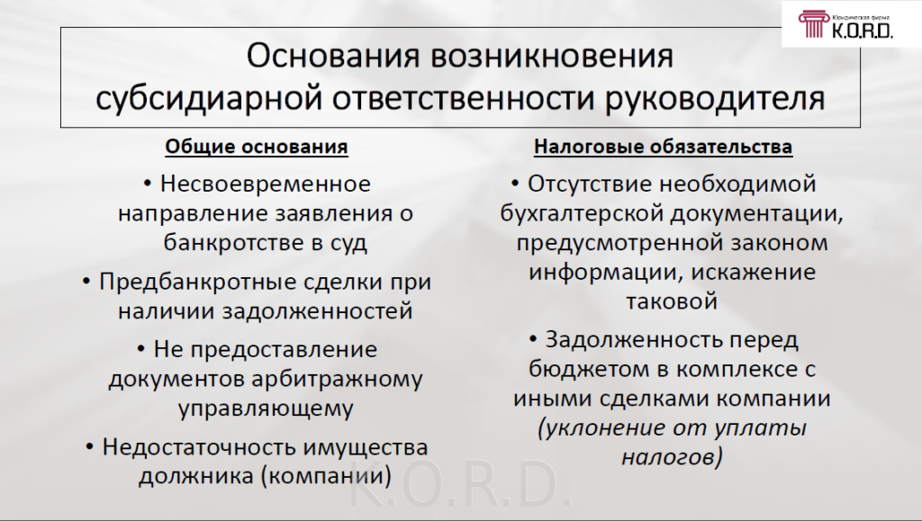 В каких случаях собственников и руководителей компании можно привлечь к субсидиарной ответственности