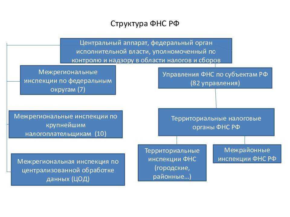 Как сдать налоговую декларацию