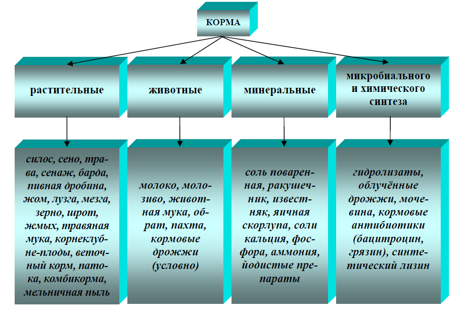 И тебя посчитаем. в россии грядёт всеобщая маркировка товаров