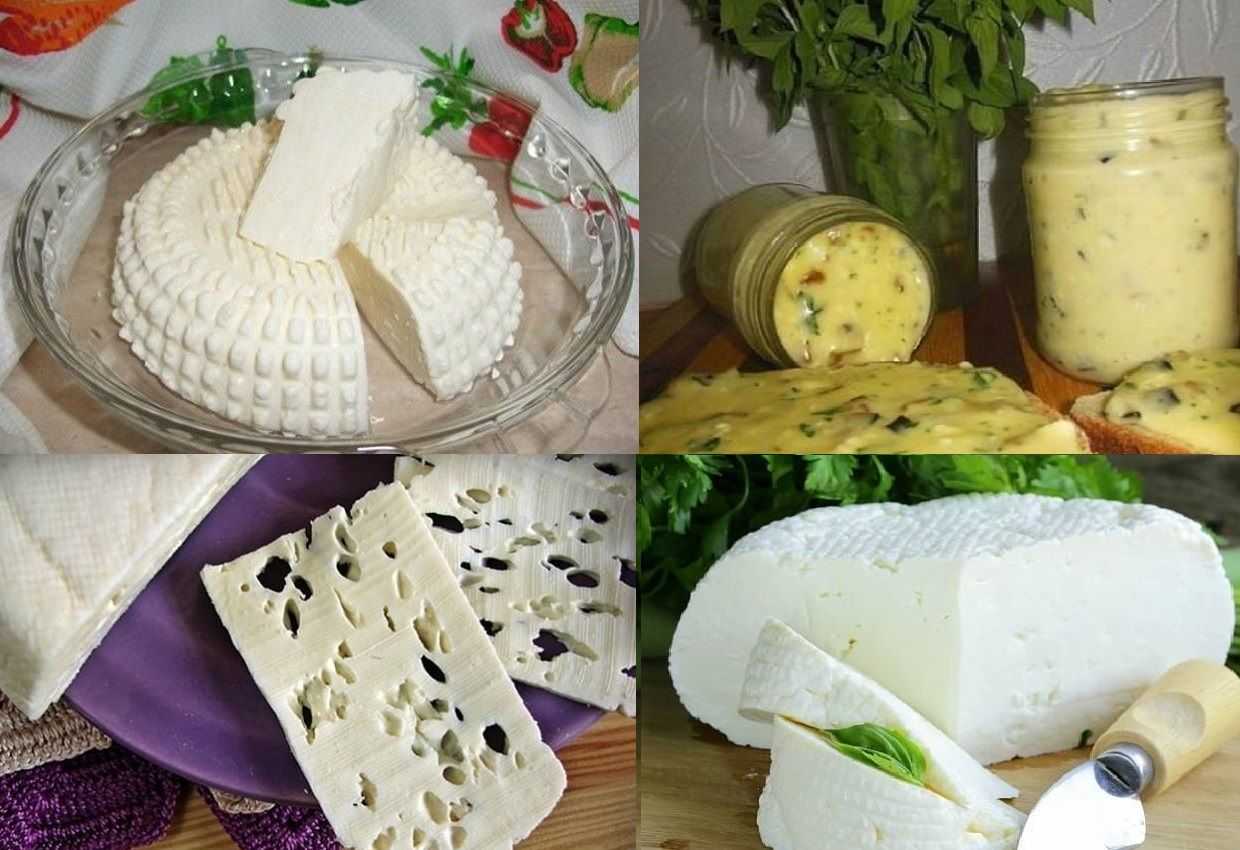Бизнес-план сыроварни