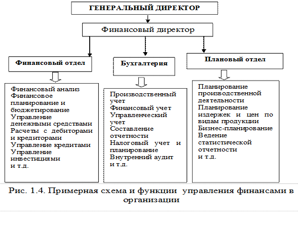 Чем не должен заниматься финансовый директор