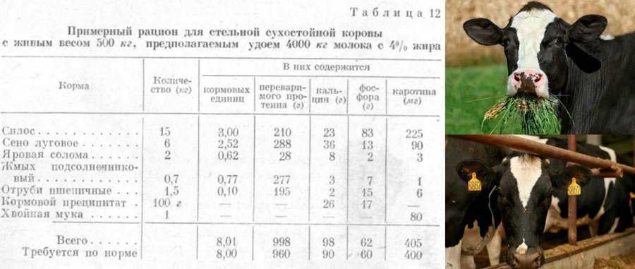 Маркировка кормов для животных: сроки и условия проведения пилотного проекта