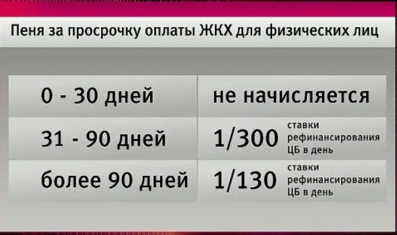 Пени за неуплату налогов: процентная ставка и сроки оплаты