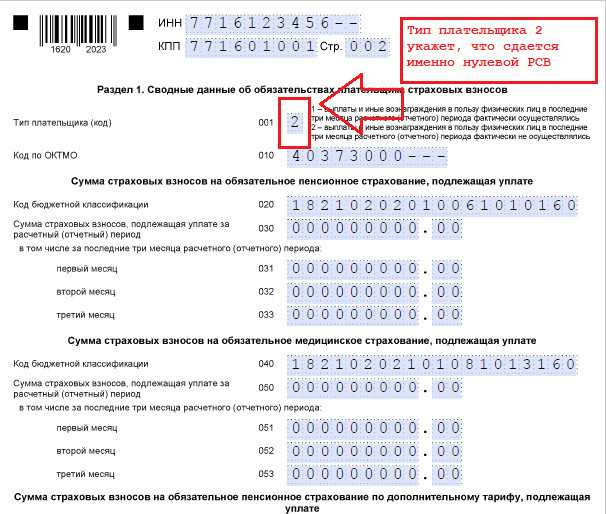 Новая форма сзв-стаж в 2024