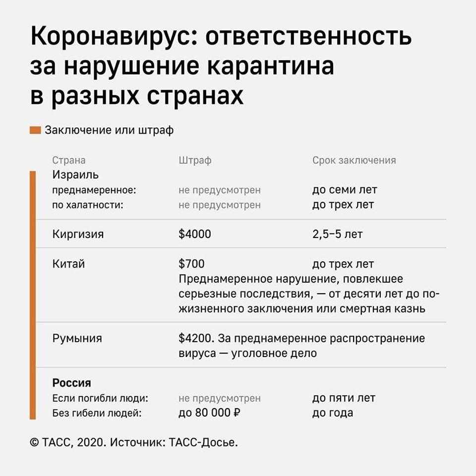 Штрафы за нарушение карантина и режима самоизоляции 2024 в россии и разных странах: для физических лиц и работодателей, закон