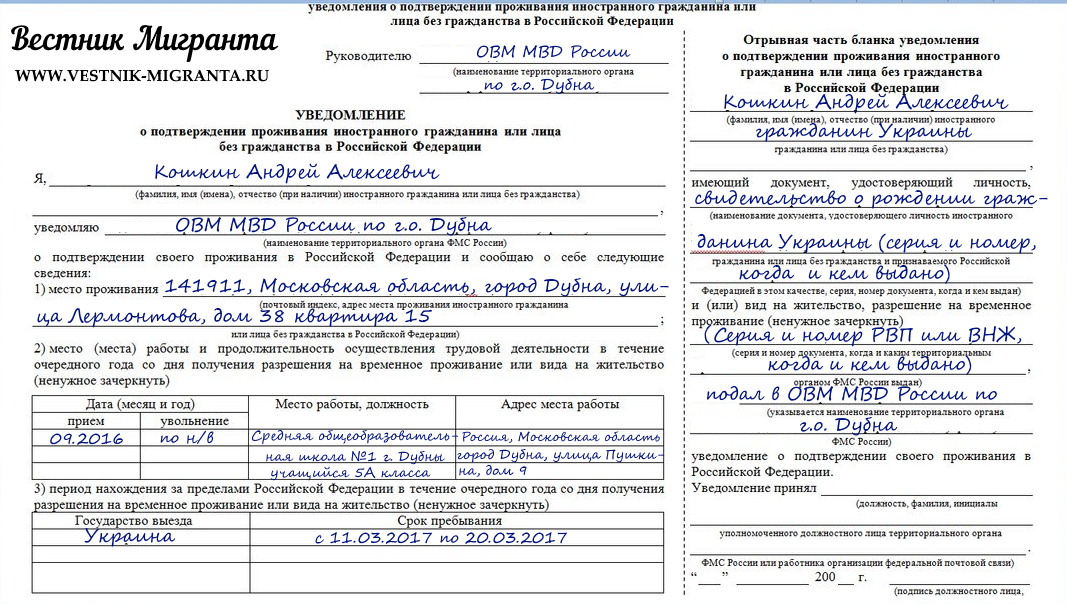 Иностранцы не отправили в мвд договор: последствия | альянс - тм