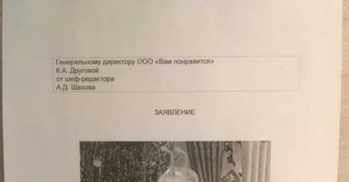 Как по закону проходит процесс оформления увольнения генерального директора ооо по собственному желанию?