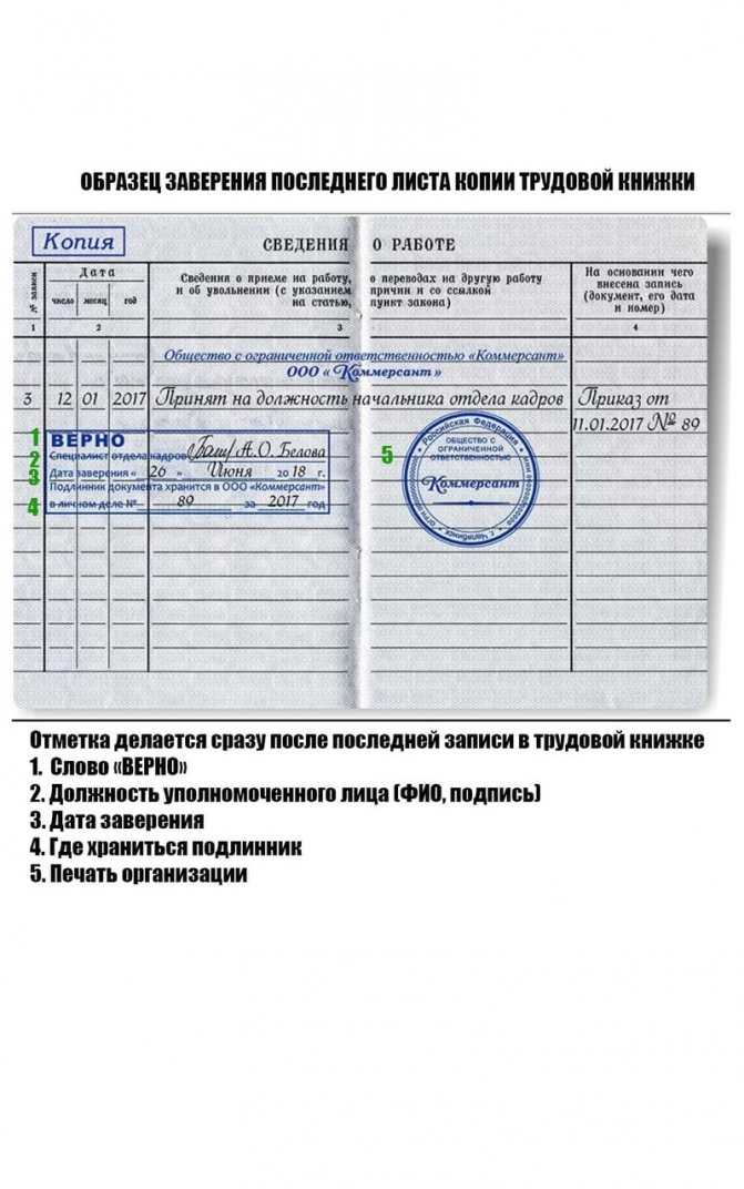 Сколько дней действительна копия трудовой книжки для банка