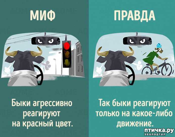 5 мифов о жизни богатых людей | rusbase