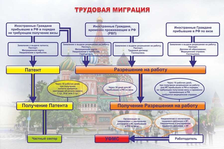 Миграционный ад. как оформить иностранца на работу и не нарваться на штраф