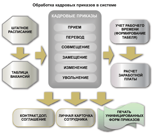 Как оптимизировать численность персонала