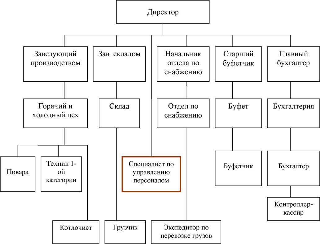 Кому подчиняется главный бухгалтер по новому закону