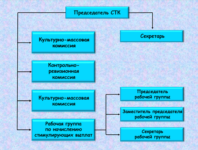 Какие функции выполняет совет трудового коллектива и его структура