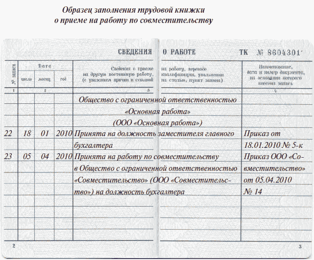Электронная трудовая, запись и форма сзв тд