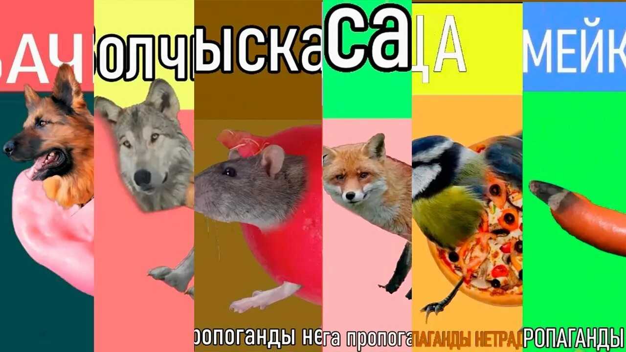 Первый бухгалтер в мире: эволюция профессии