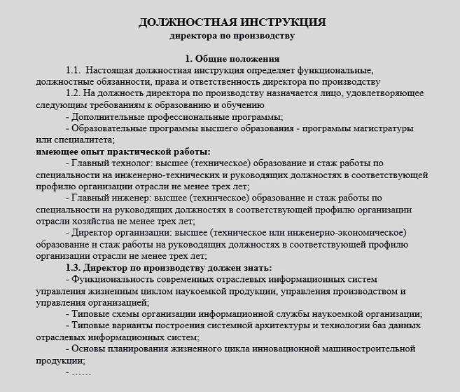 Должностная инструкция заместителя директора: обязанности, права и ответственность
