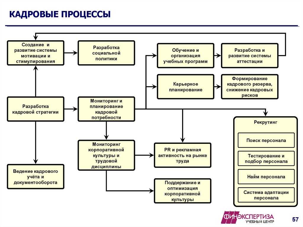 Бизнес-процессы в управлении кадрами - оперсонале